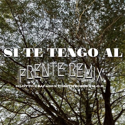 Si Te Tengo al Frente (Remix) - Single