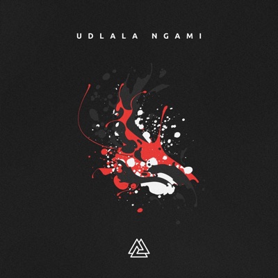 Udlala Ngami - Single