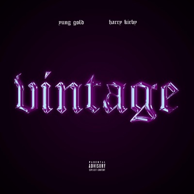 VINTAGE (feat. harrykirby) - Single