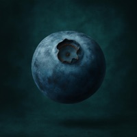 If Only We Could Dance Again - Single - Omayela & MiQ The Burb Boy