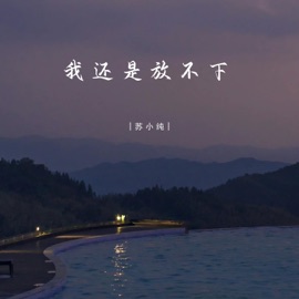 我还是放不下 (Dj彭锐版伴奏) 苏小纯