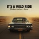 It s A Wild Ride Single