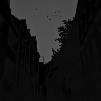 a r r a k i s - Single