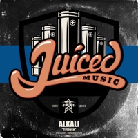 Tribute - Single - Alkali