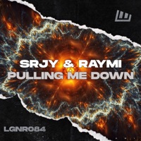 Pulling Me Down - Single - SRJY & RAYMI