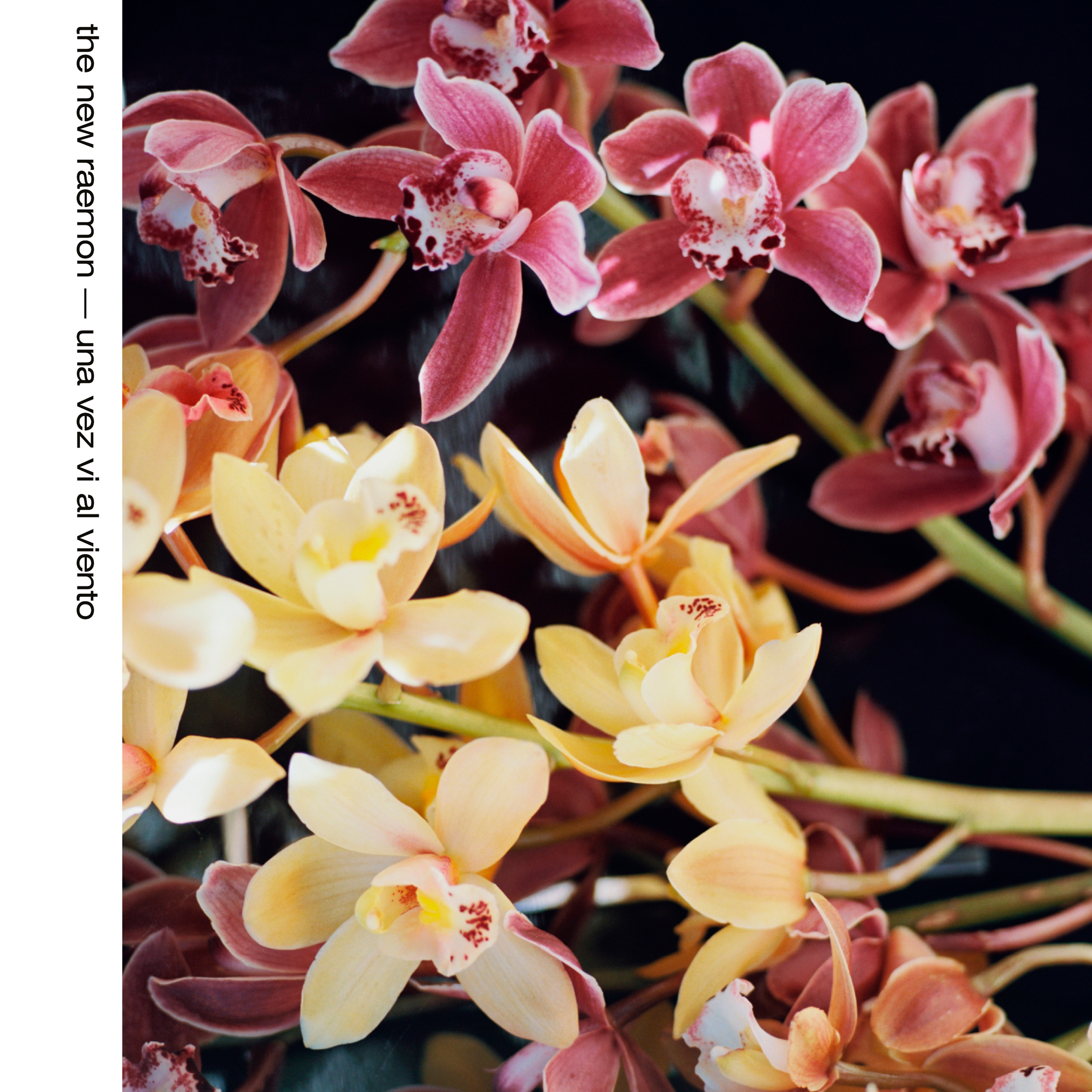 Una Vez Ví Al Viento - Single