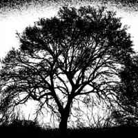 decompose - Single - Blue Bunny