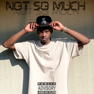 Not so Much (feat. Leo Fantøm) - Single