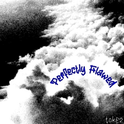 Perfectly Flawed - Single