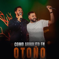 Como Arbolito en Otoño (feat. Lautaro Rojas) - Single - Leo Pignatta