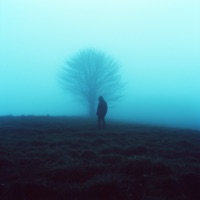 summer (ambient) - Single - Ødyzon & Pandora