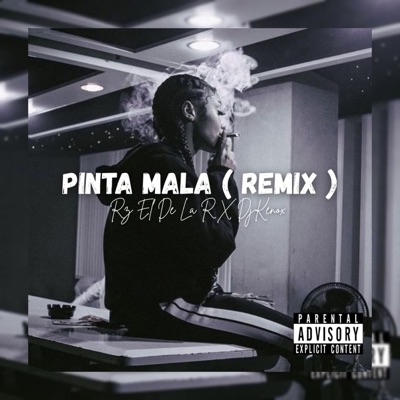 Pinta Mala (Remix) - Single