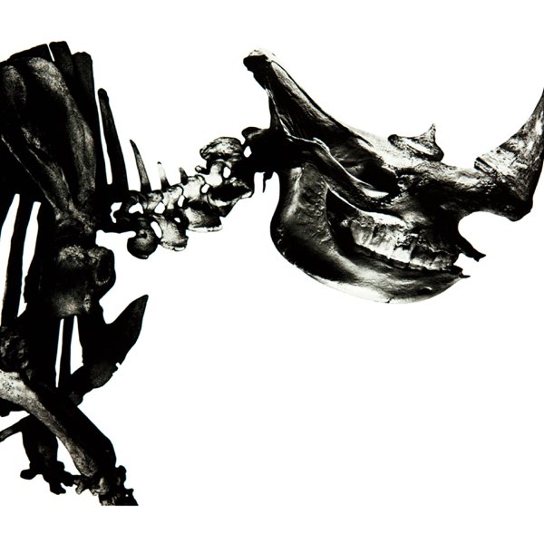 Mr.Children 1996-2000 - Mr.Childrenのアルバム - Apple Music