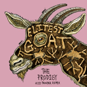 Elitest G.O.A.T. (The Prodigy Acid Thunder Mix) [feat. Aldous Harding] - Single