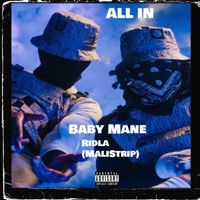 All In - Single - Baby Mane & Ridla