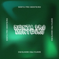 Senta pro Monteiro - Single - Fatboyprod, DJ Monteiro, Rafa Gehlen & Yarlekina