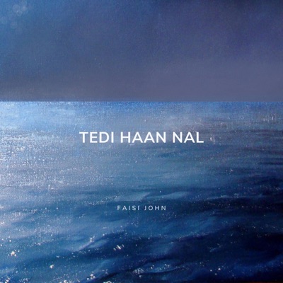 Faisi John - Tedi Haan Nal
