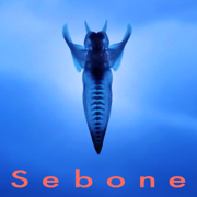 Sebone -spinal column- - Tota