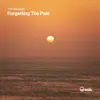 Forgetting The Past