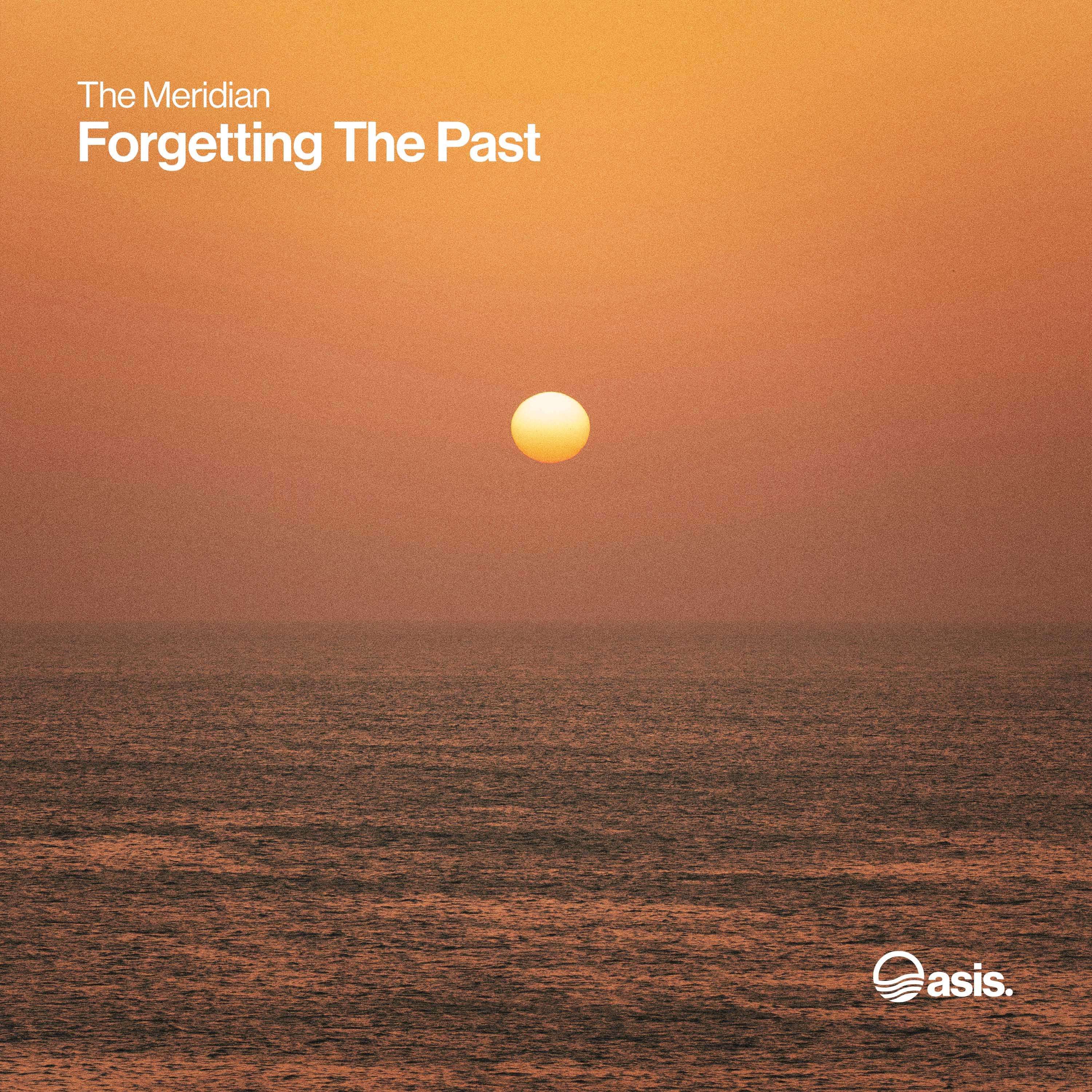 Forgetting the Past - Single