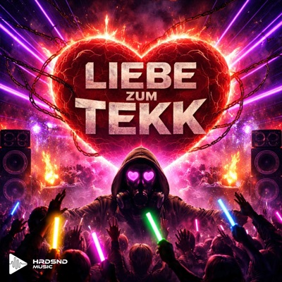 Liebe zum Tekk (feat. Hetzer_official & DerPianist) - Single