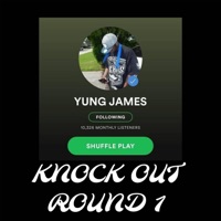 FAT FRONTOS (feat. Pimptress) - Single - Yung James