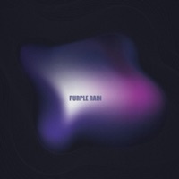 Purple Rain - Single - DIX MILLE HEURES & Dibson