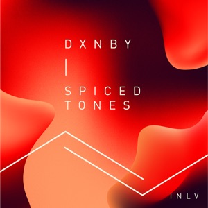 Spiced Tones (Radio Edit)