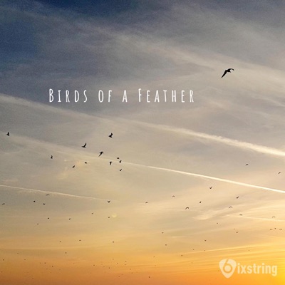 Birds of a Feather - Single