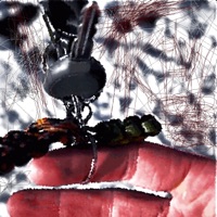 NEW CAR, OLD KEYS - Single - DWARDO