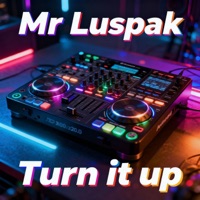 Turn it up - Single - Mr Luspak
