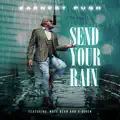 Send Your Rain