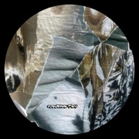 RST0102 - Single - Mutan Fly