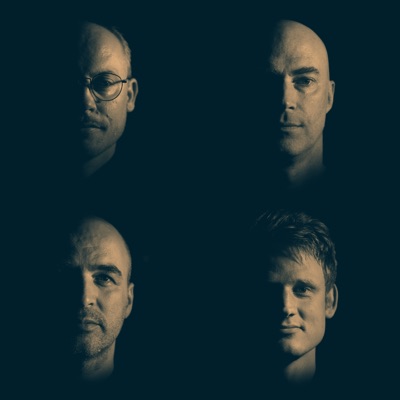 Faces (feat. Anton Dromberg, Sebastian Voegler & Niklas Wennstrom) - Single