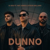 DUNNO - Single - Dj Bisi, Stevie Bellard & Nat James