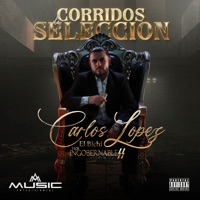 CORRIDOS DE SELECCION - Carlos Lopez 
