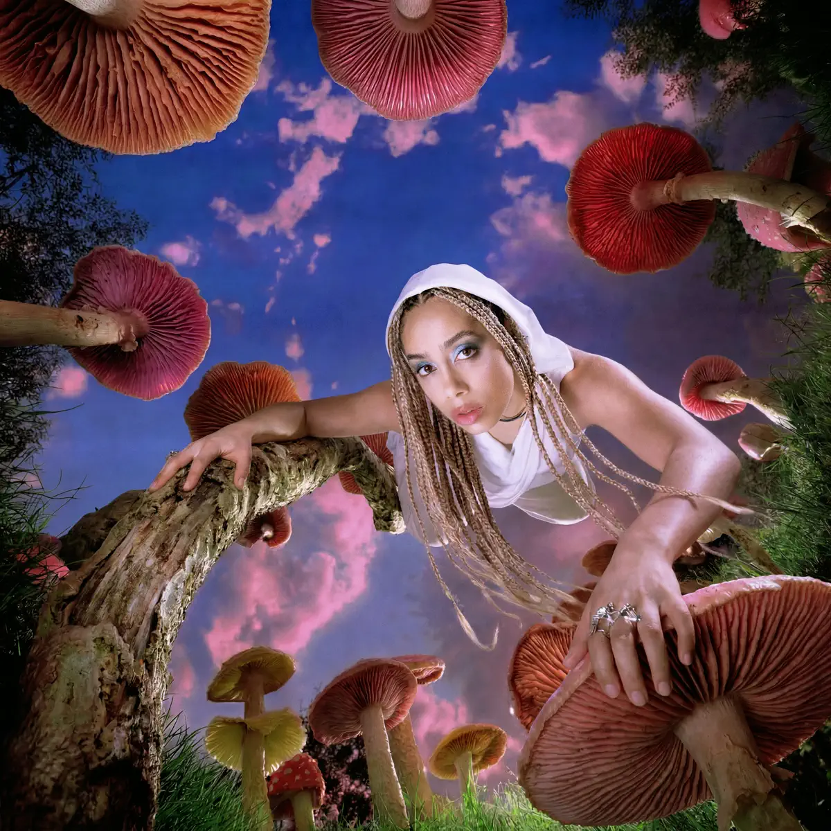 Jayda G - All Day (Dennis Quin Remix / Jackie Hollander Remix) - Single (2026) [iTunes Plus AAC M4A]-新房子