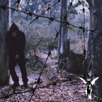 Roll it up - Single - Luh Codex