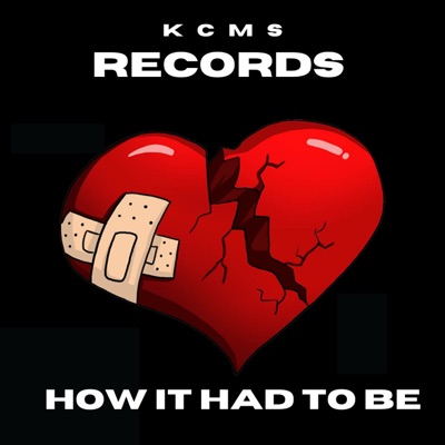 How it Had to Be (feat. Instrumental by whitehot) - Single