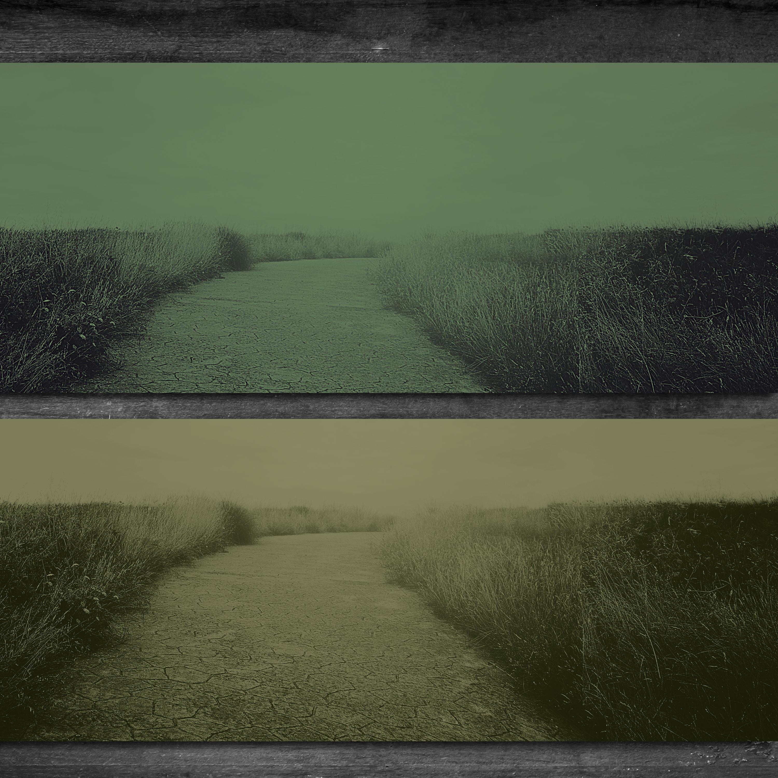 Accidental Love - Single