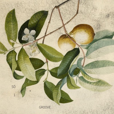 Só + 1 Groove ((Para Todos Que Emanei)) - Single