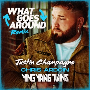 What Goes Around (Remix)