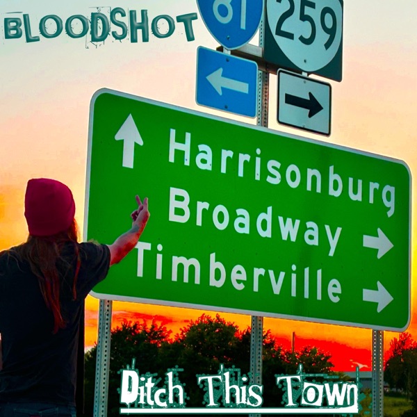 Ditch This Town (Acoustic Version)