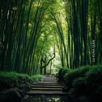 Deep Forest Therapy: Japanese Forest Bathing Meditation Music with Healing Nature Sounds, Shinrin-Yoku - Lu Xuna Qian
