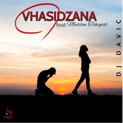 Vhasidzana (feat. Mulilow Tshigidi) - Single