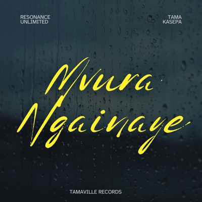 Mvura Ngainaye (feat. Tama Kasepa) - Single