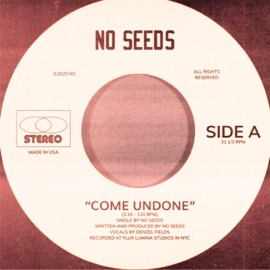Come Undone (feat. Denzel Fields) No Seeds