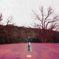 Don't - Single - Hoosh