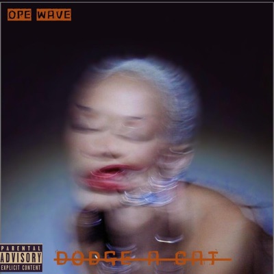 Dodge a cat - Single