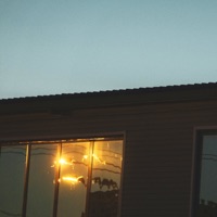 Пеплом - Single - Cold Carti